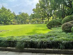 -申粤轩酒楼·三十年粤菜经典(丁香花园店)