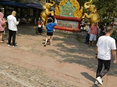 -西双版纳傣族园