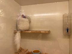 -龙猫仔乐园(惠福东路店)