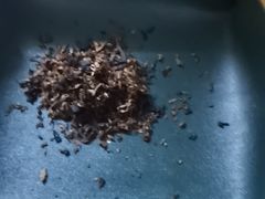 -成都你六姐·牛肉冒菜(城市集市合生汇店)