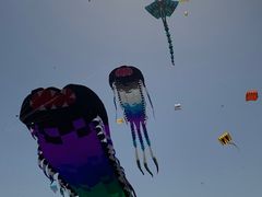 -潍坊滨海云门国际风筝放飞场