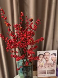 -奥本科技美肤·养生SPA