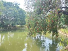 -人民公园(罗湖区)