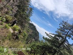 -洛阳白云山景区