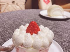 -猫里有甜