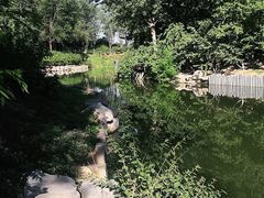 -大兴滨河森林公园