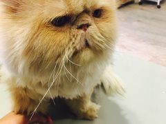 -小时光咖啡馆(开森度假森林店)