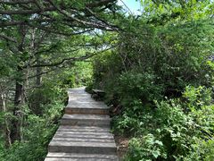 -白草畔自然风景区