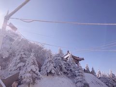 -秦岭风景区