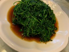 酒香草头-海江5号