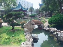 -華僑飯店中餐厅