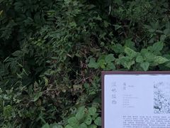 -东钱湖旅游度假区