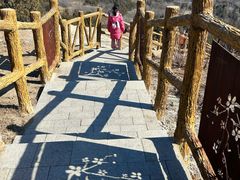 -白水寺森林公园