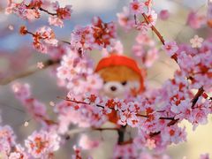 -上海辰山植物园