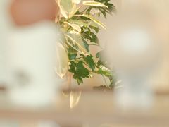 -luutosa  cafe & tea 鹿兔山