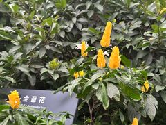 -北京植物园-展览温室