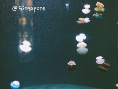 -圣淘沙名胜世界
