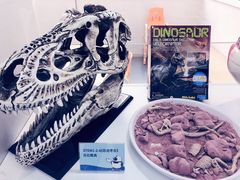 -斯坦星球AI编程·机器人科创·科学实验·信奥·思维·STEM·乐高·竞赛考级(长宁虹桥大融城荟聚中心)