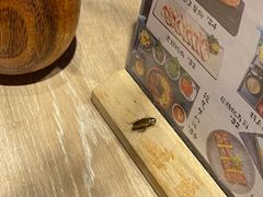 -千寿·金焰食堂(仁和新城店)