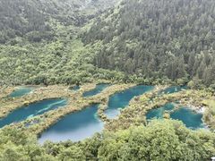 -九寨沟-树正沟