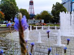 -札幌电视塔