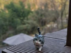 -玻璃桥景区石牛寨