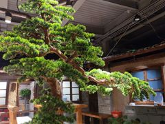 -丹江渔村(首都机场店)