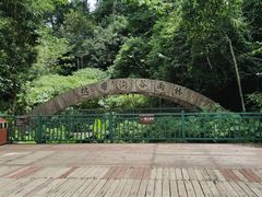 -西双版纳原始森林公园