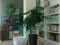 -瑞派申生动物医院·24H夜诊·国际动物医疗中心·骨外科(吴中路店)