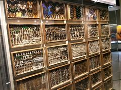 -墨尔本博物馆(Melbourne Museum)