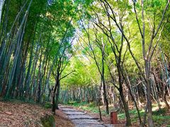 -穹窿山景区