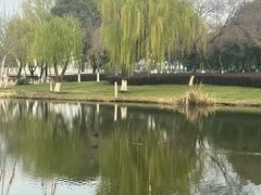 -九里河湿地公园