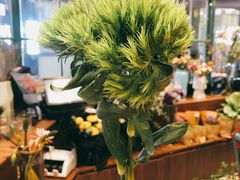 -BOBLOOM花店(宝龙旭辉广场店)