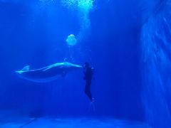 -多彩贵州城极地海洋世界