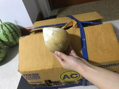 -上海龙吴水胜海发市场