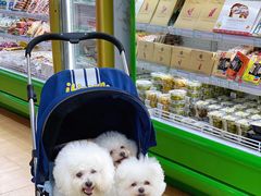 -婕妮璐超市 Jenny Lou’s Shop(三里屯店)