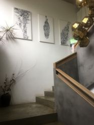 -罗亚帝·NASHOW纳秀形象设计