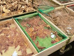 -毕家疃综合市场