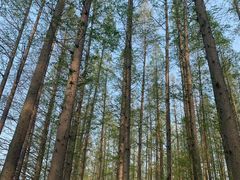 -南京金牛湖风景区