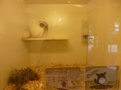 -龙猫仔乐园(惠福东路店)