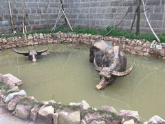 -燊海井