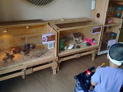 -珠海海泉湾神秘岛亲子乐园