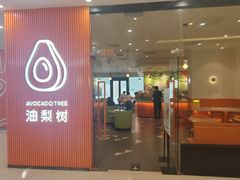 -油梨树 AVOCADO TREE(亮马桥店)