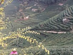 -午潮山国家森林公园