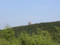 -原山国家森林公园