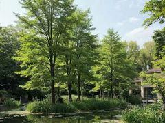 -上海海湾国家森林公园