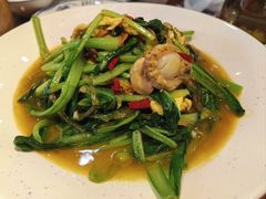 扇贝肉炒小白菜-那家老院子东北菜·饺子·小鸡炖蘑菇(艳华街店)