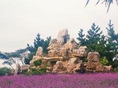 -羊亭河湿地公园