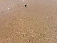 -北戴河东海水浴场