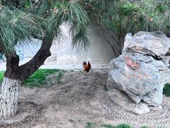 -三里河公园